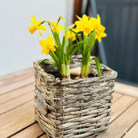Ein Kleines Haus *